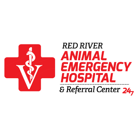 rr animal hospital